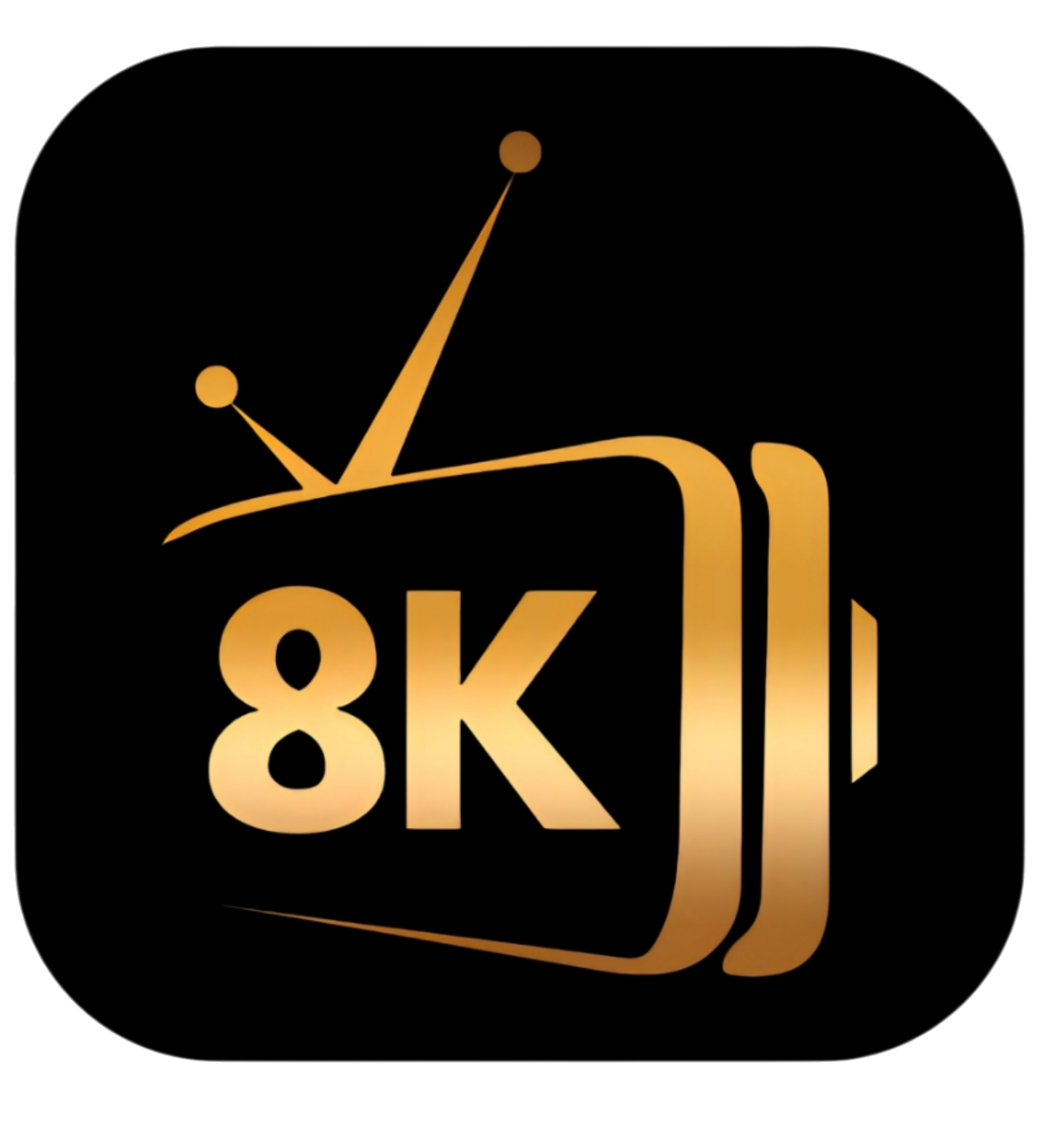 DIWAN SPORT 12mois(ACS)